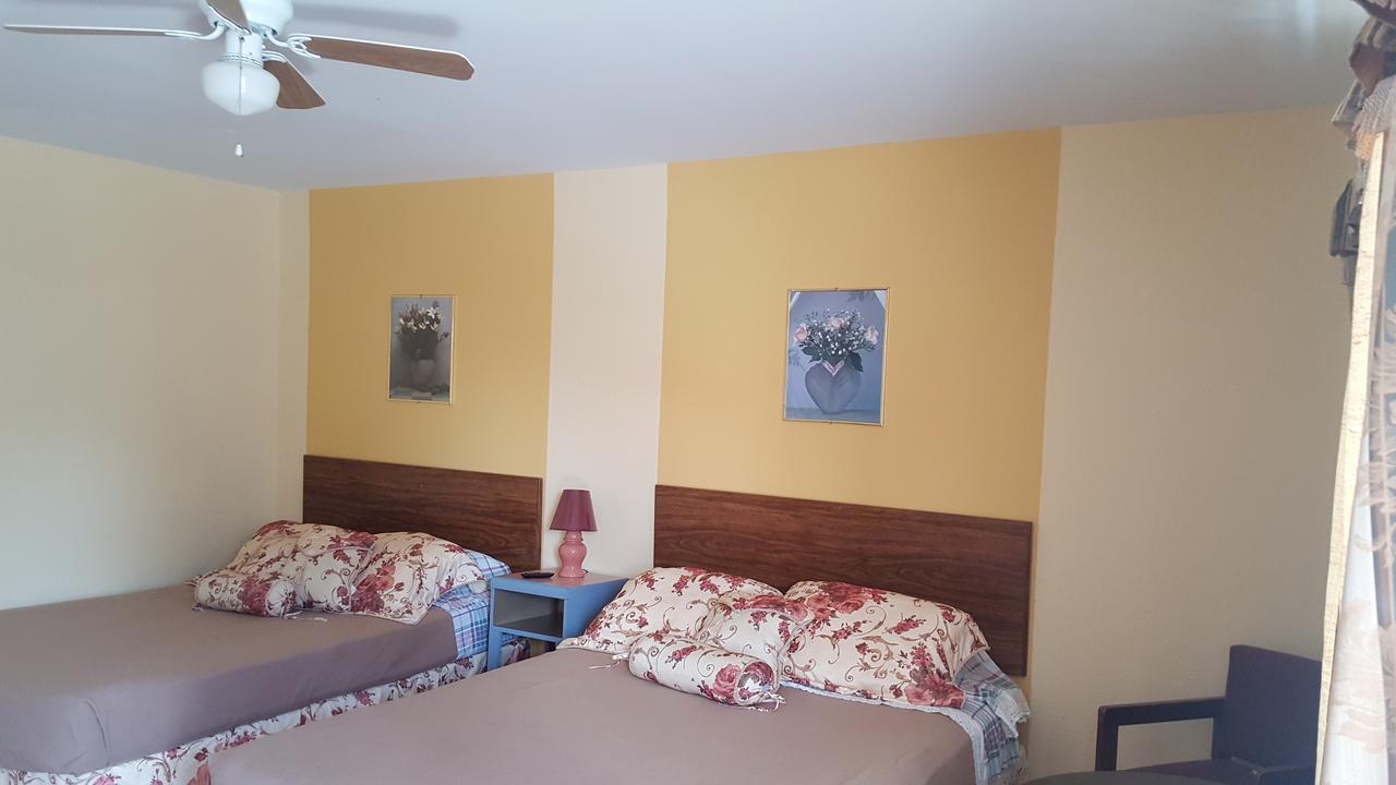 Alpine Motel In Heart Of Wisconsin Dells Downtown. מראה חיצוני תמונה