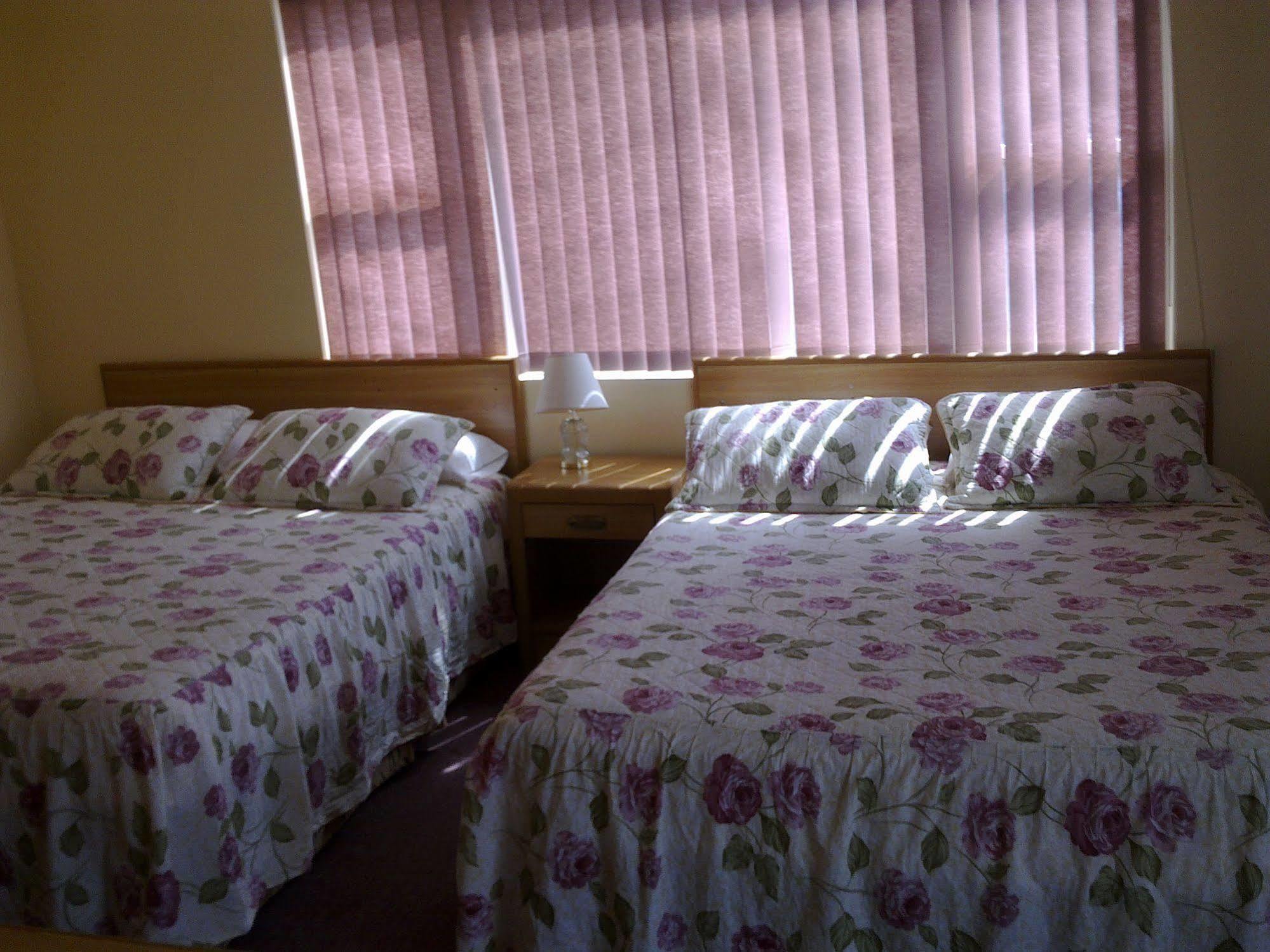 Alpine Motel In Heart Of Wisconsin Dells Downtown. מראה חיצוני תמונה